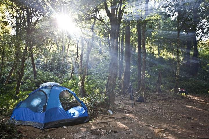 camping tents in forest using hiking tents