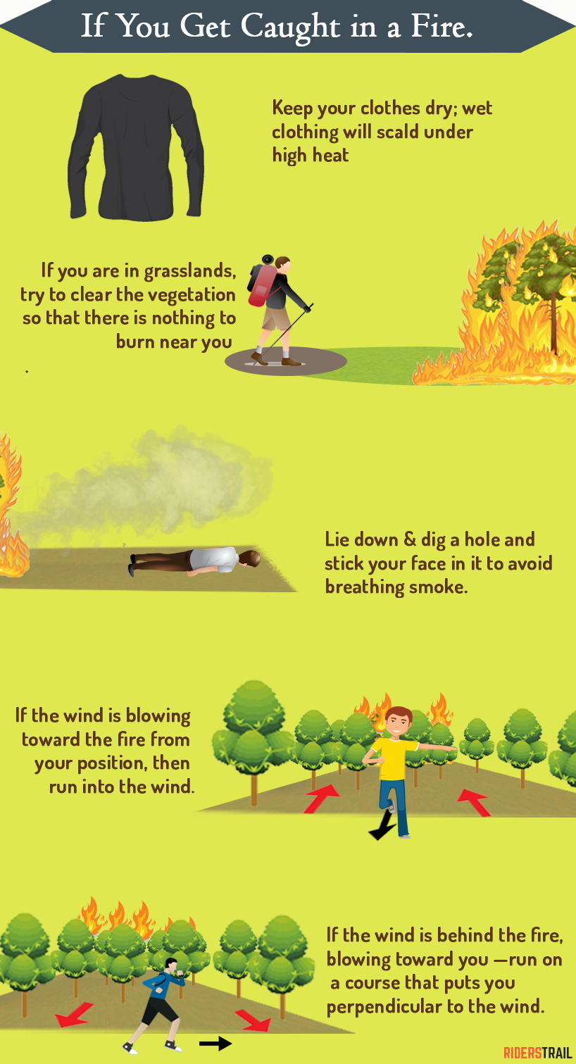 how to survive a forest fire