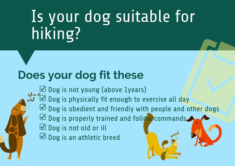 is your dog suitable for hiking